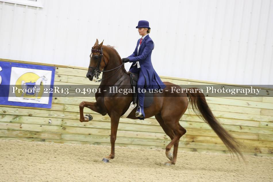Proof 22R13_04901