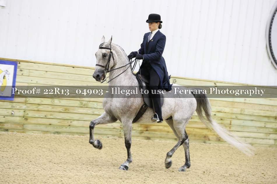 Proof 22R13_04903