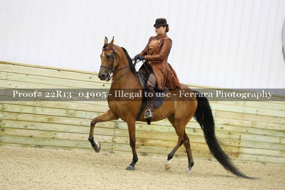 Proof 22R13_04905