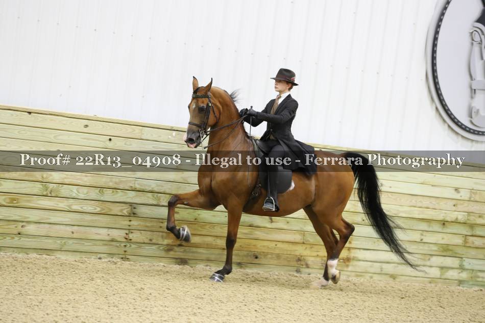 Proof 22R13_04908
