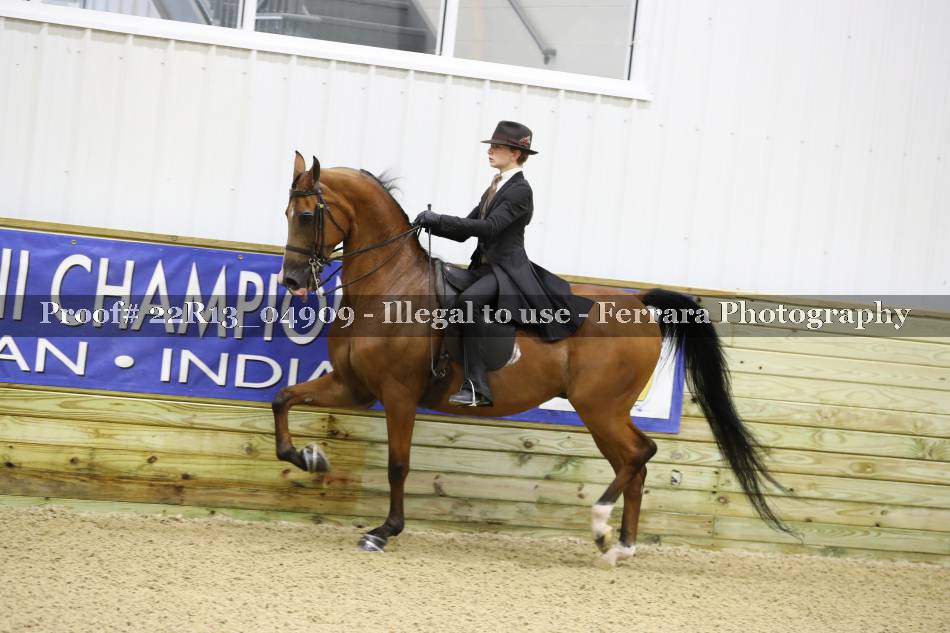Proof 22R13_04909