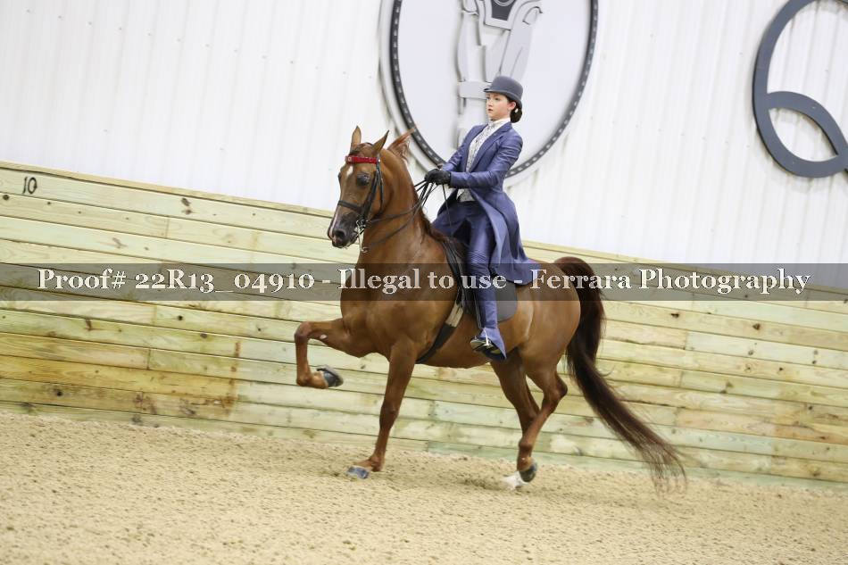 Proof 22R13_04910