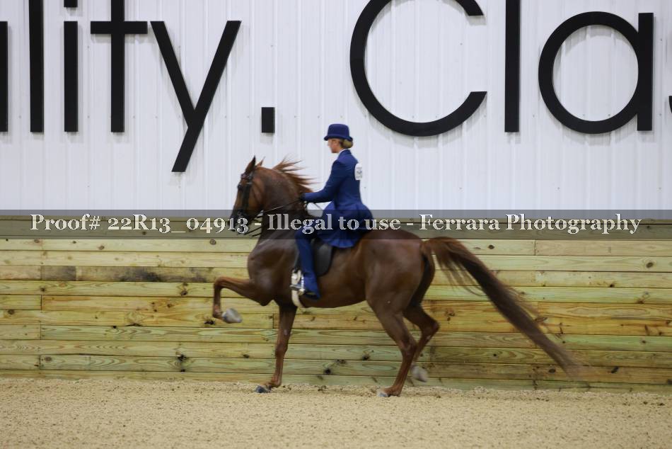Proof 22R13_04913