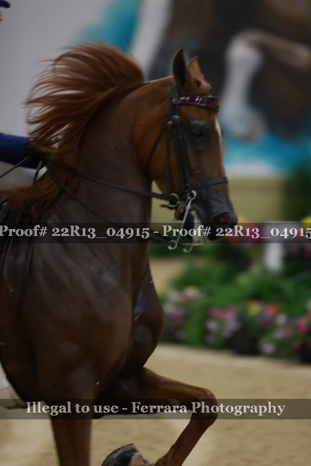 Proof 22R13_04915
