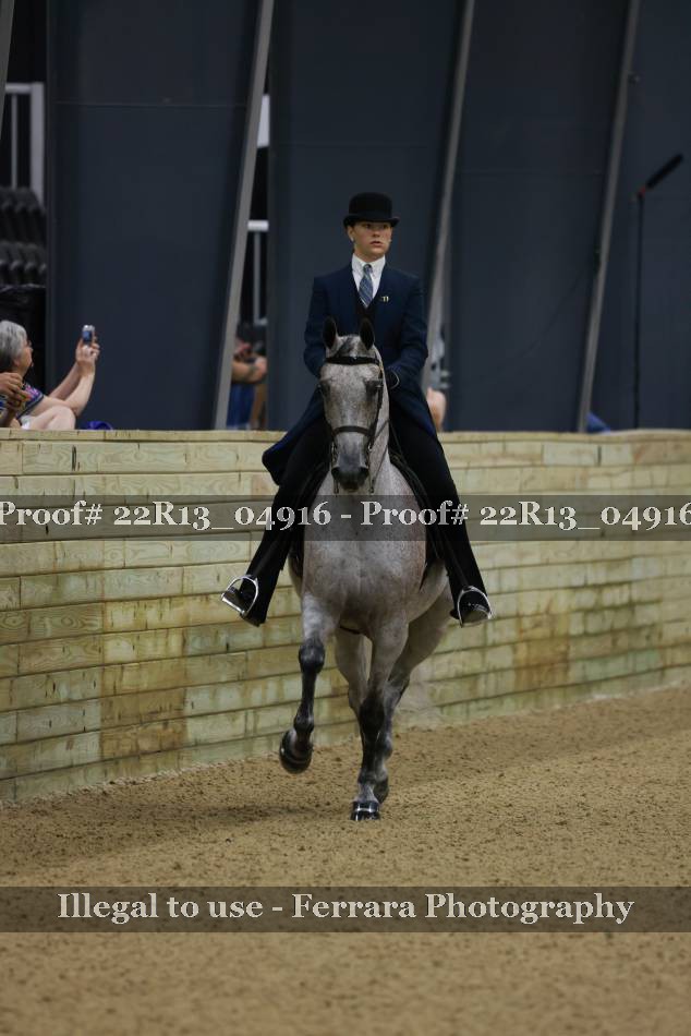 Proof 22R13_04916