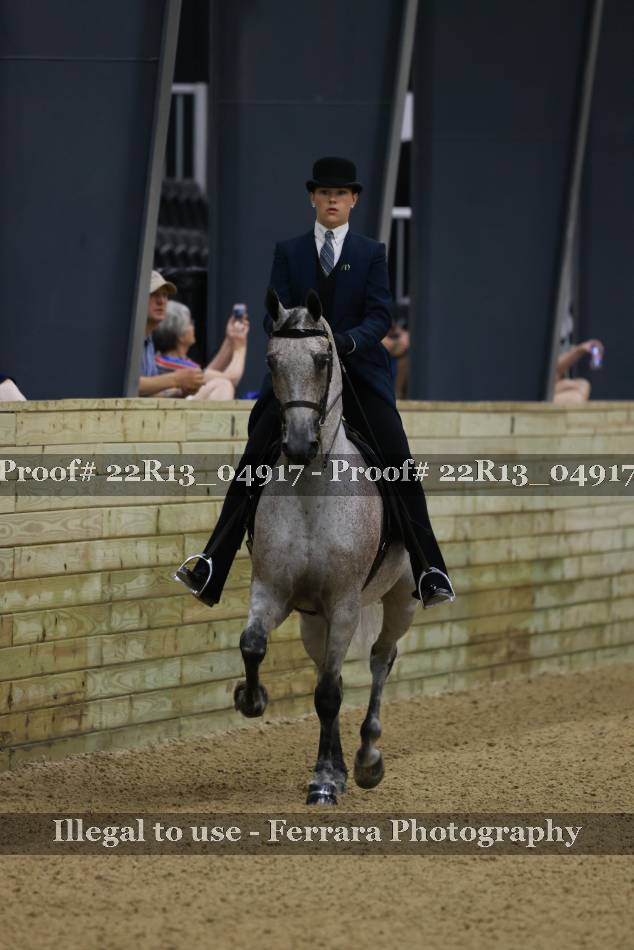 Proof 22R13_04917