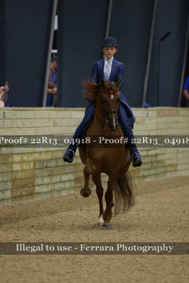 Proof 22R13_04918