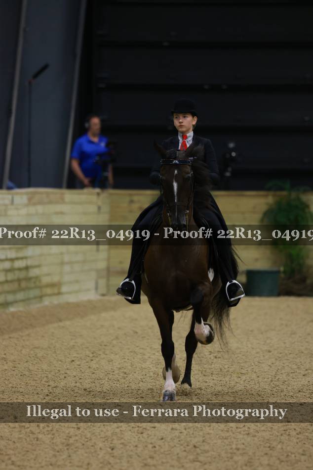 Proof 22R13_04919