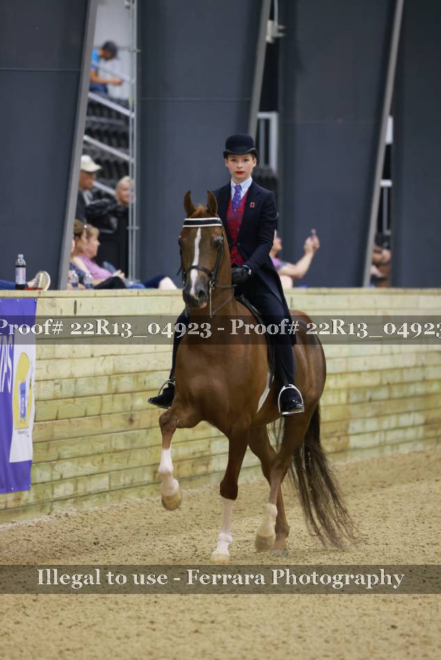 Proof 22R13_04923