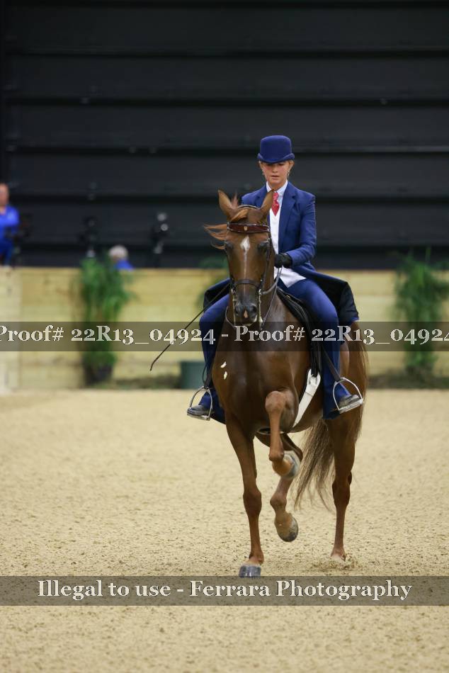 Proof 22R13_04924
