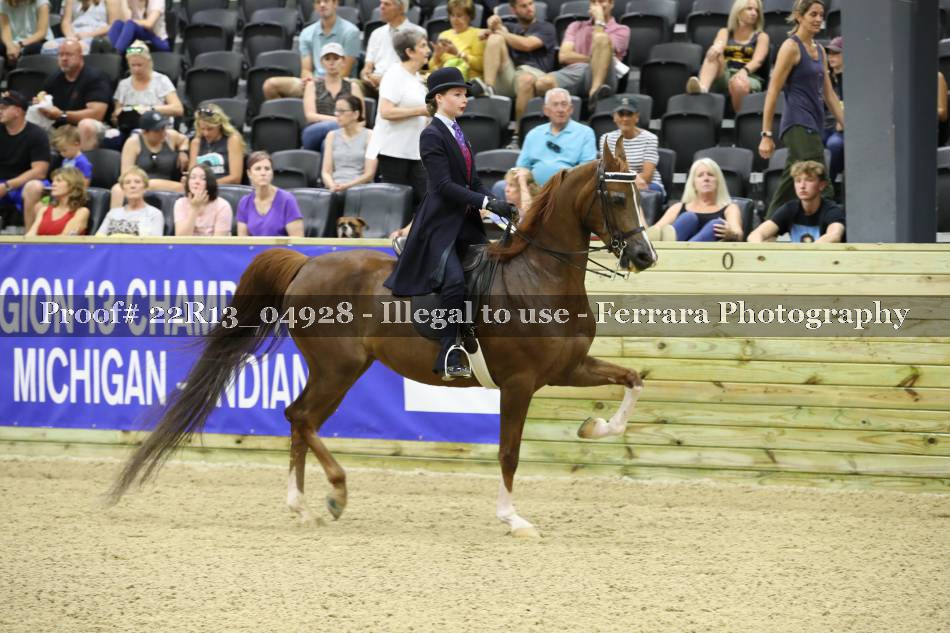 Proof 22R13_04928