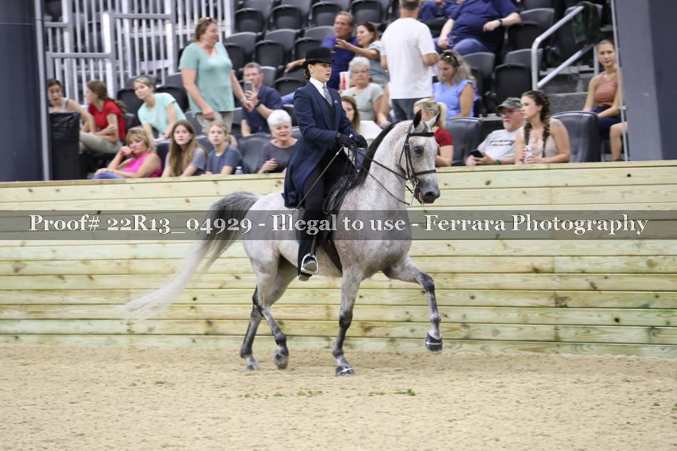 Proof 22R13_04929