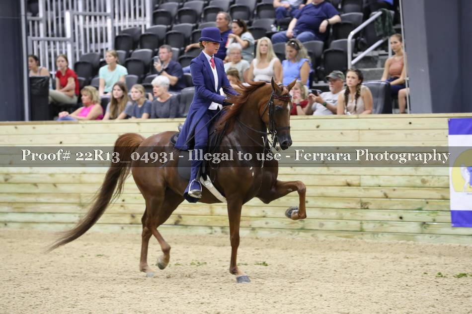 Proof 22R13_04931