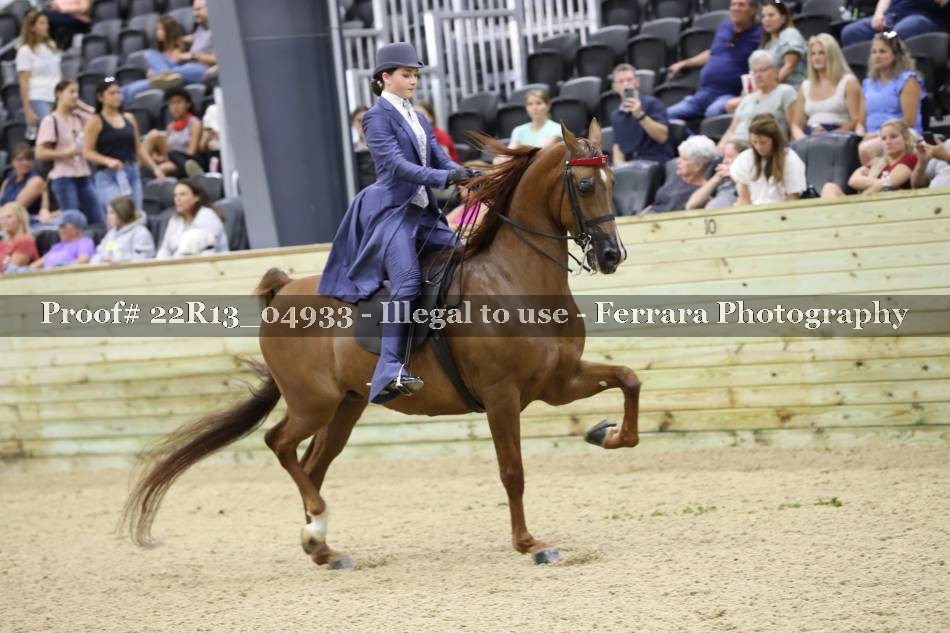 Proof 22R13_04933