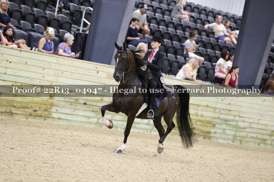 Proof 22R13_04947