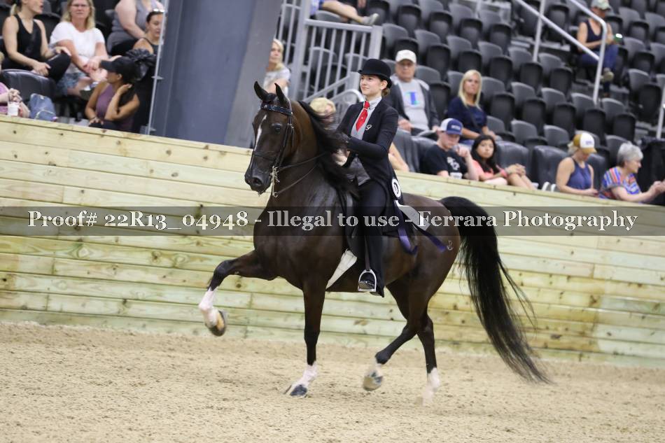 Proof 22R13_04948
