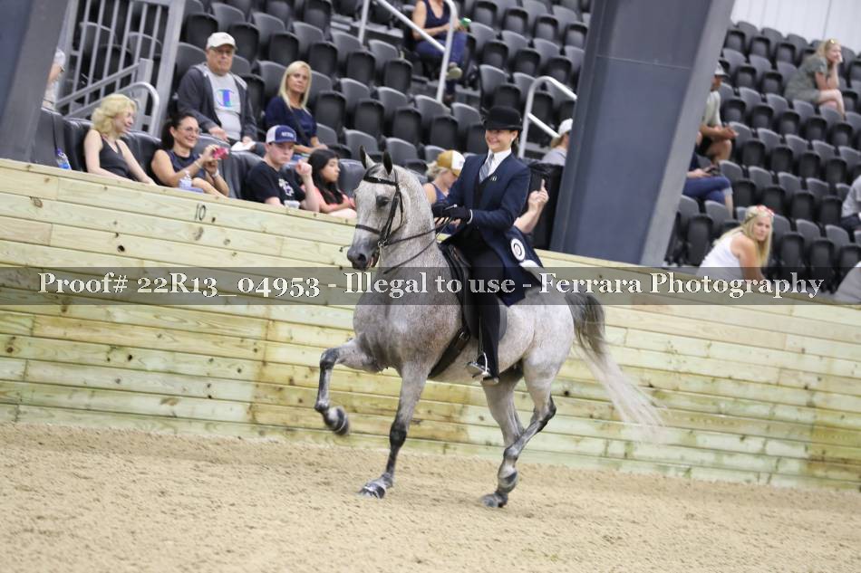Proof 22R13_04953