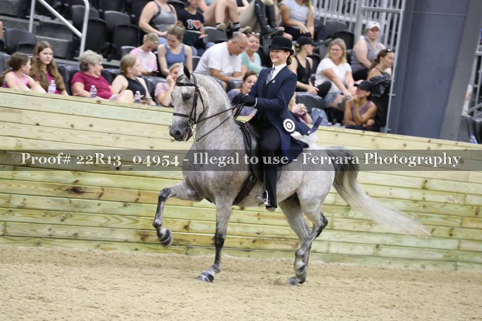 Proof 22R13_04954