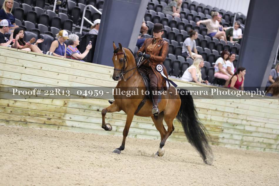 Proof 22R13_04959
