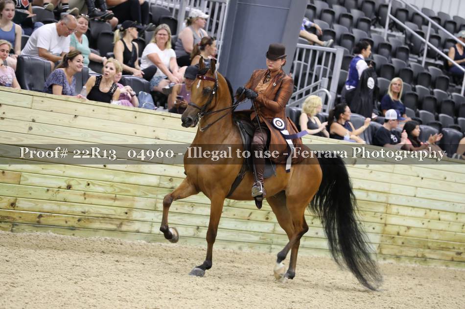 Proof 22R13_04960