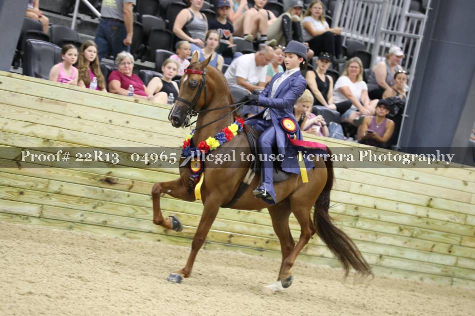 Proof 22R13_04965