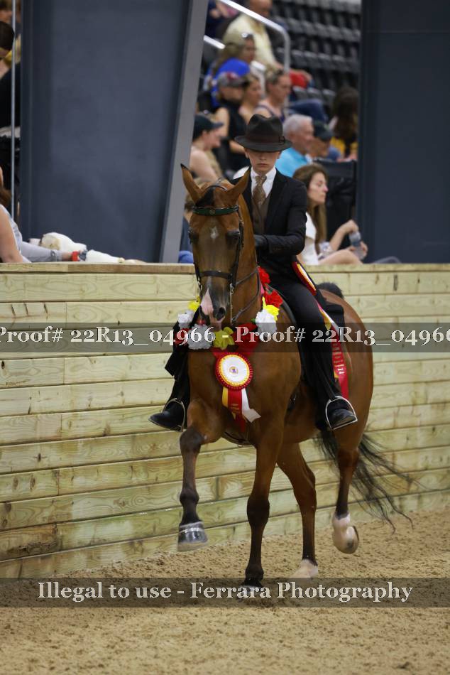 Proof 22R13_04966