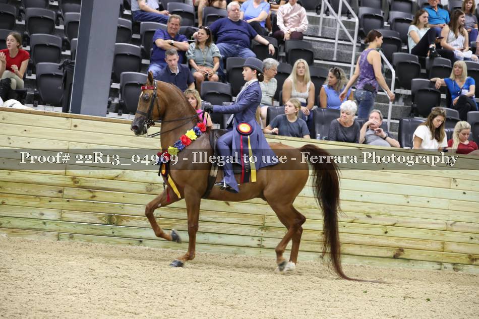 Proof 22R13_04969