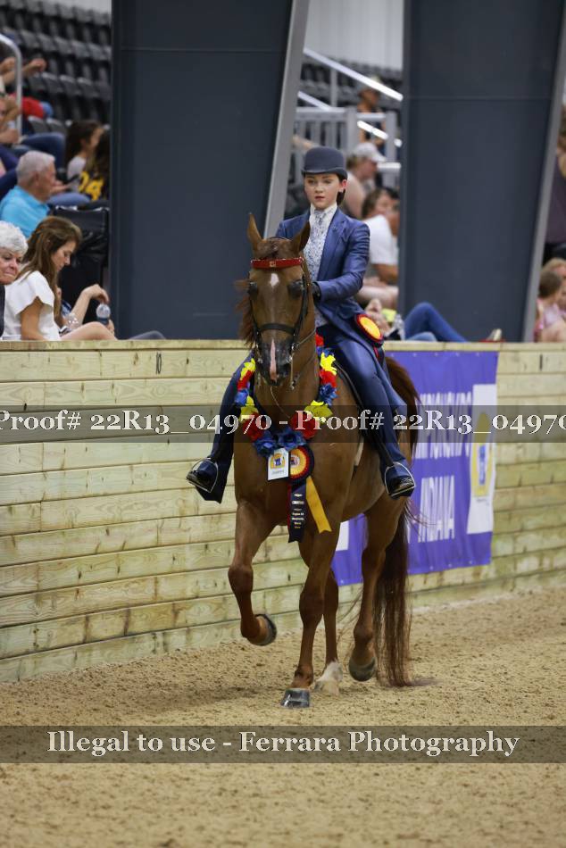 Proof 22R13_04970