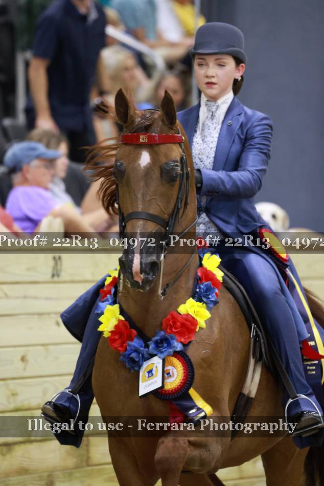 Proof 22R13_04972