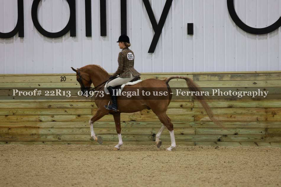 Proof 22R13_04973