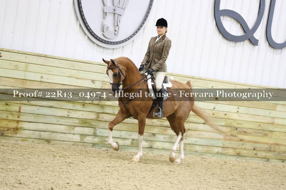 Proof 22R13_04974