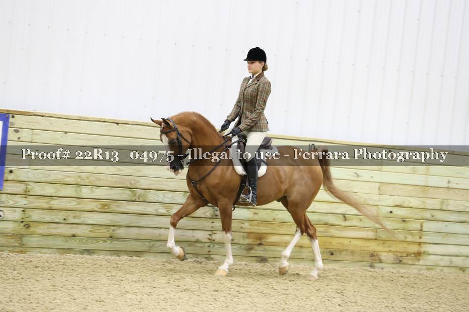 Proof 22R13_04975