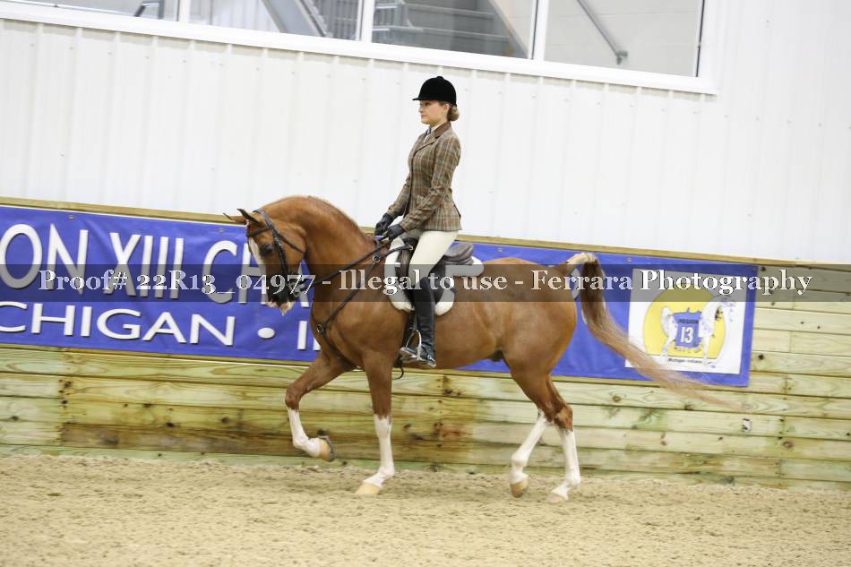 Proof 22R13_04977
