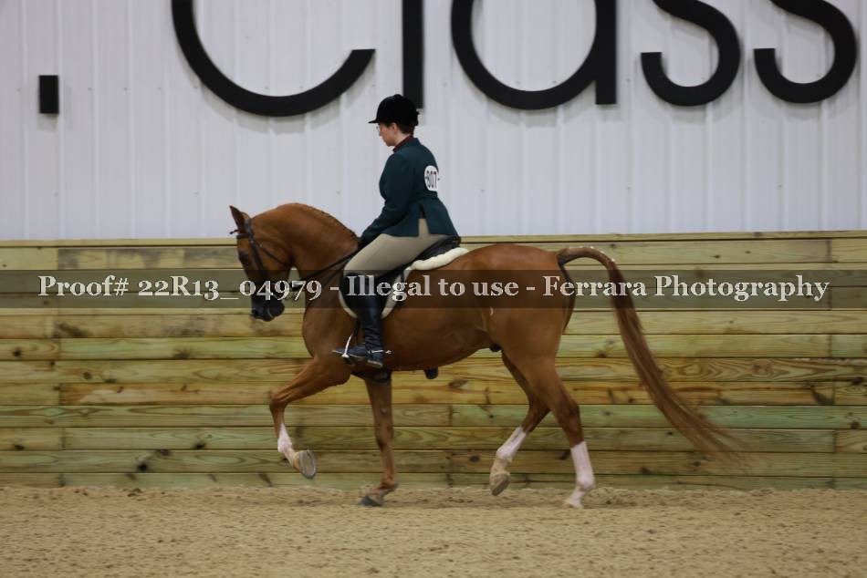 Proof 22R13_04979