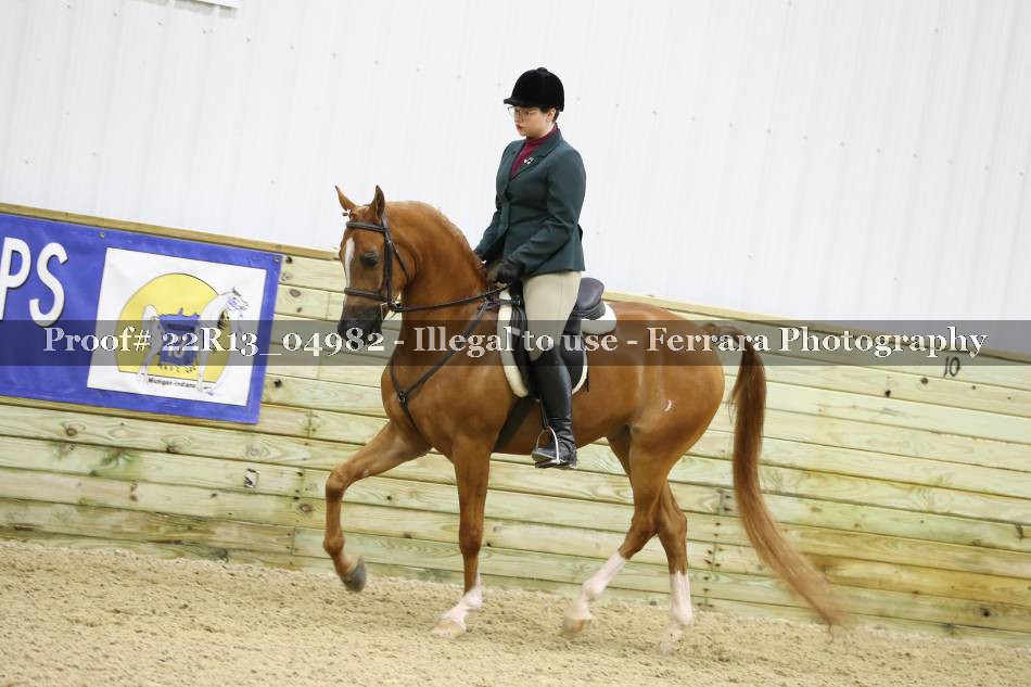 Proof 22R13_04982