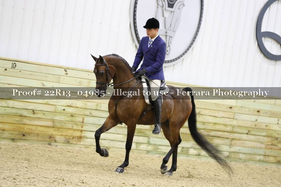 Proof 22R13_04985