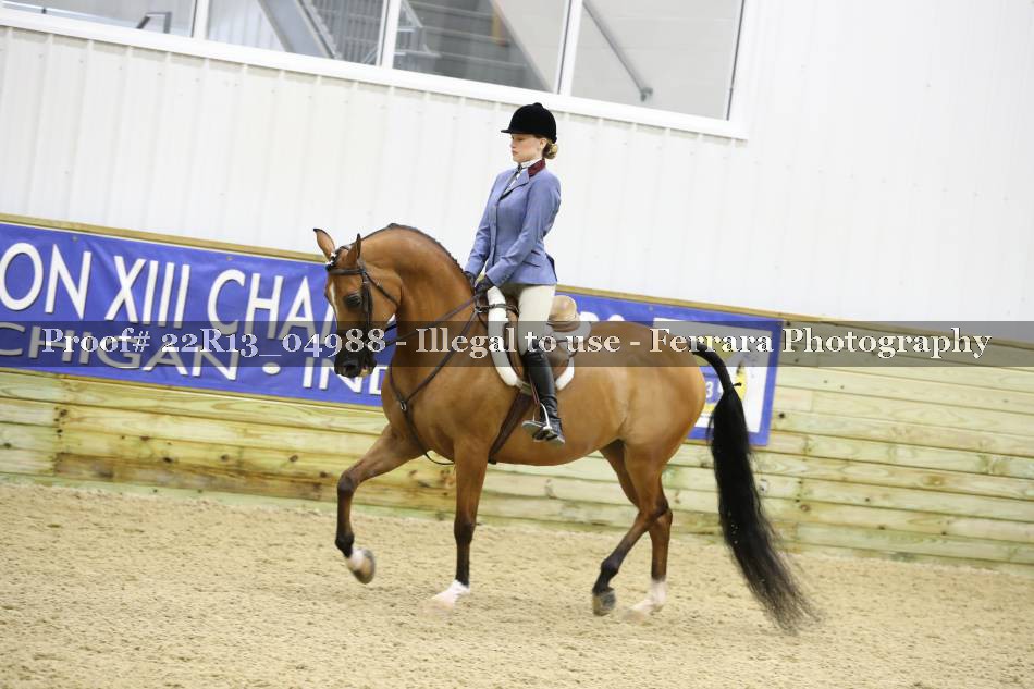 Proof 22R13_04988