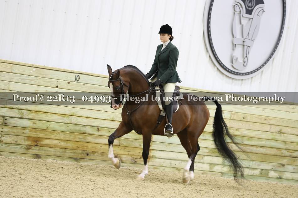 Proof 22R13_04993