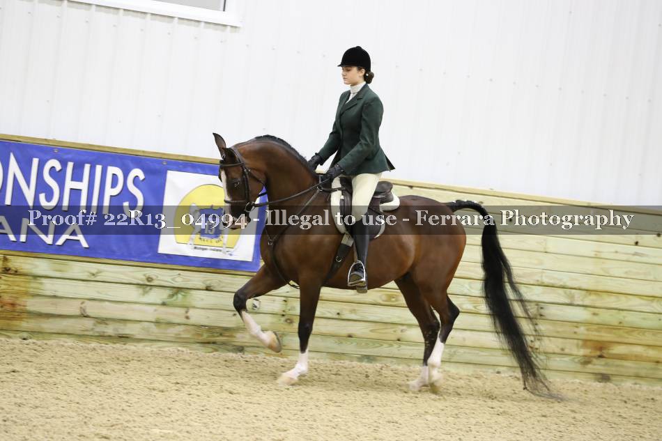 Proof 22R13_04994