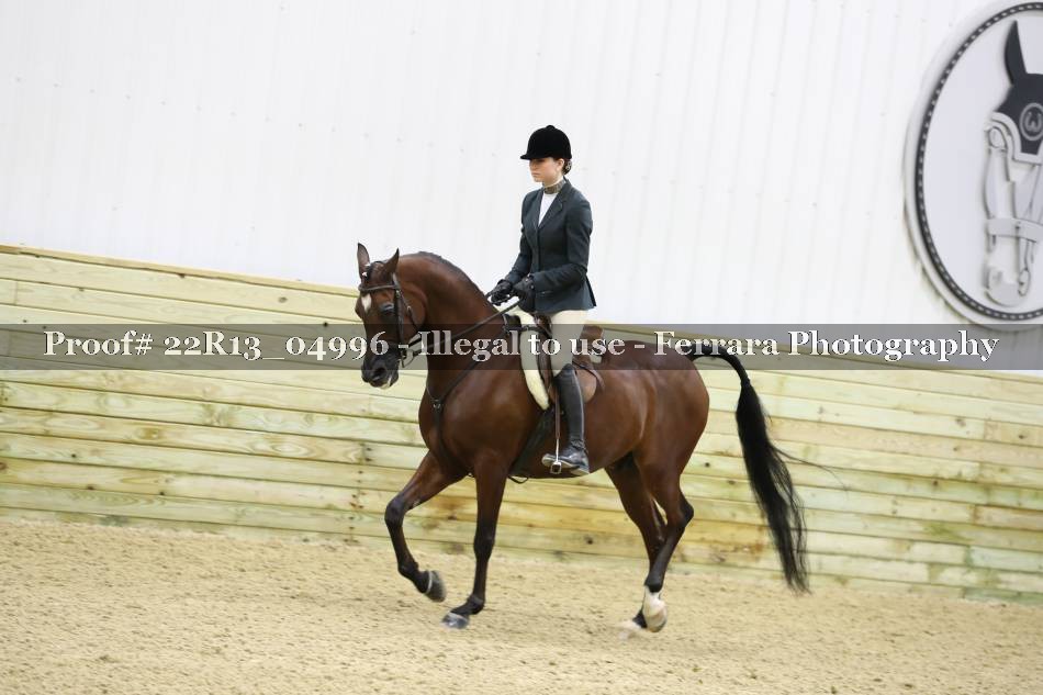 Proof 22R13_04996