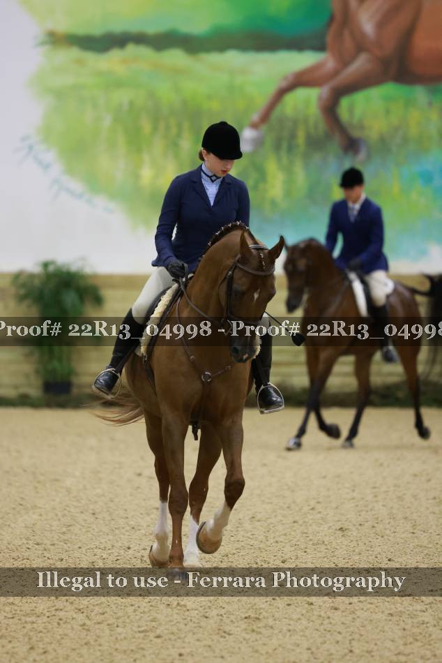 Proof 22R13_04998