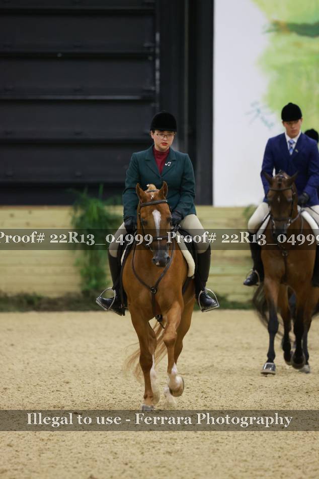 Proof 22R13_04999