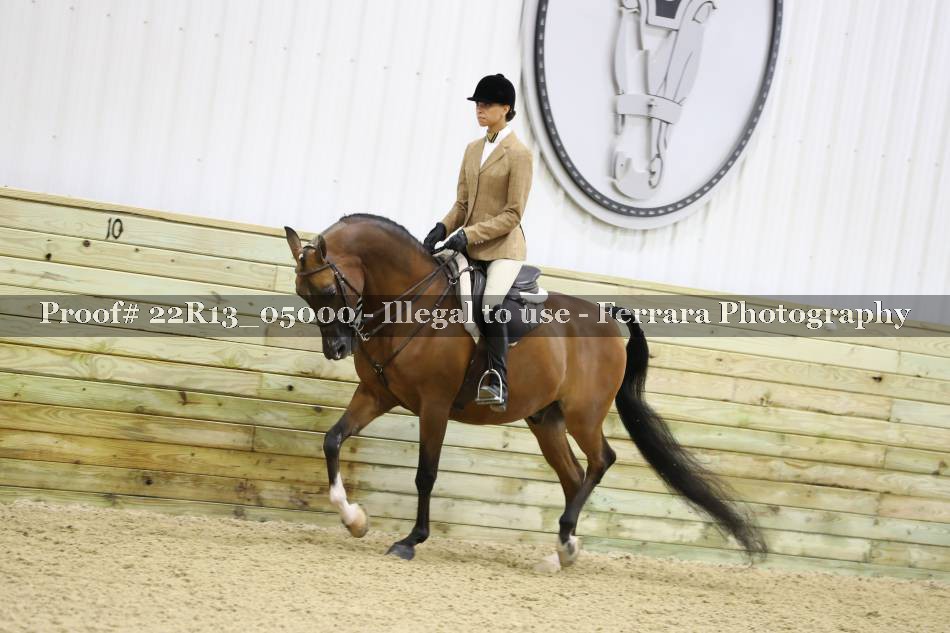 Proof 22R13_05000