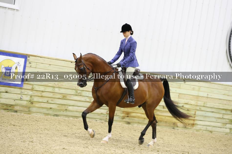 Proof 22R13_05005