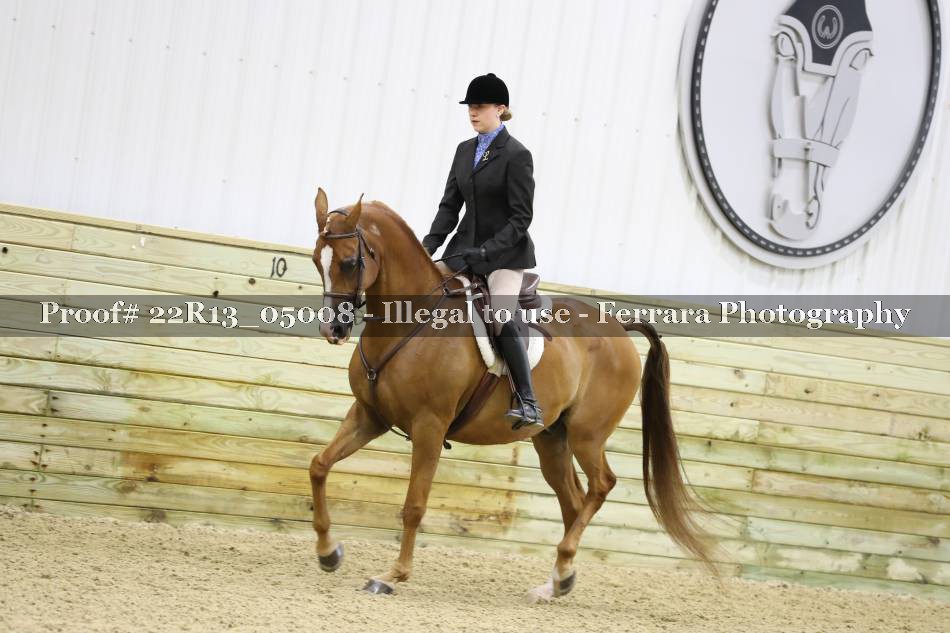 Proof 22R13_05008