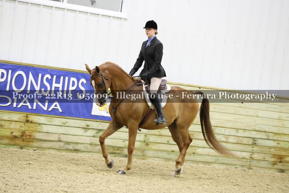 Proof 22R13_05009