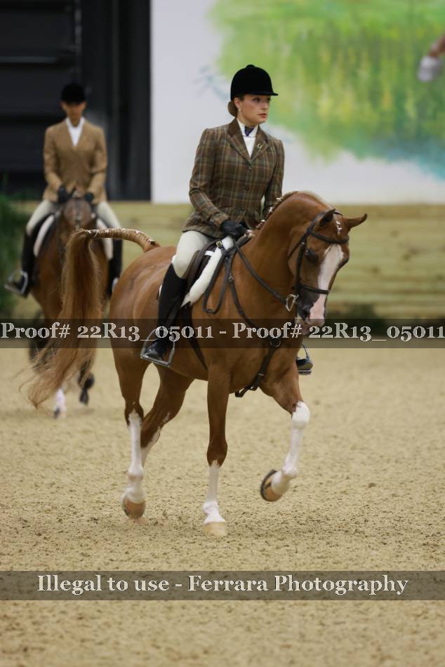 Proof 22R13_05011