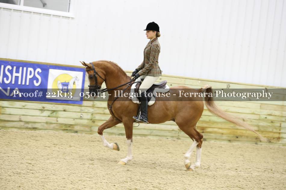 Proof 22R13_05014
