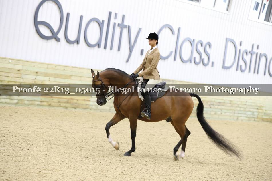 Proof 22R13_05015