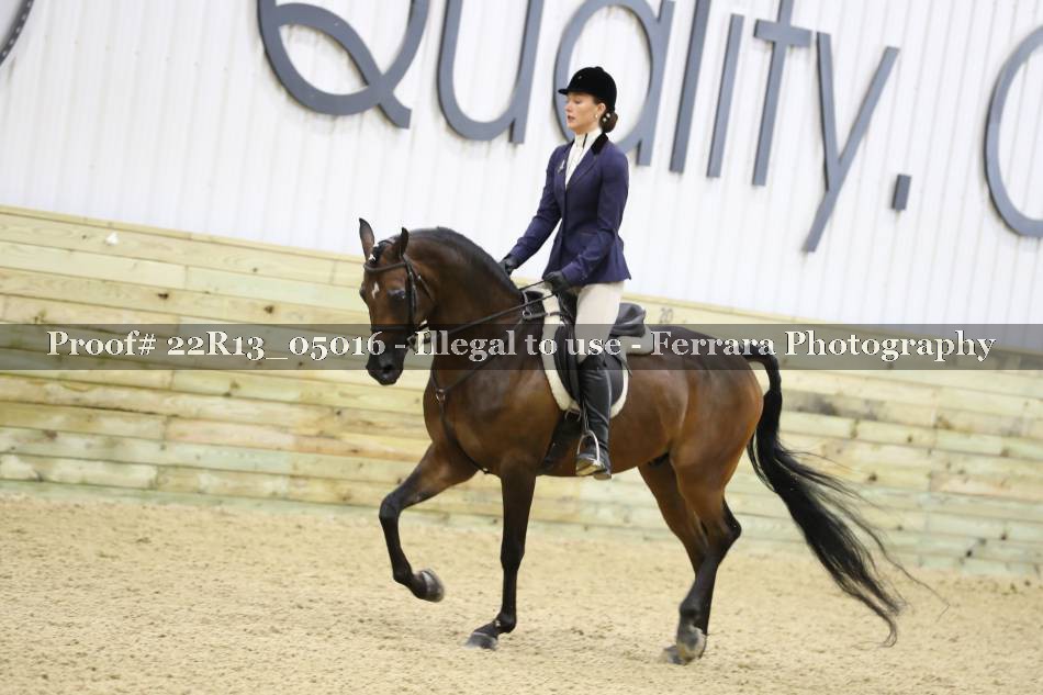 Proof 22R13_05016